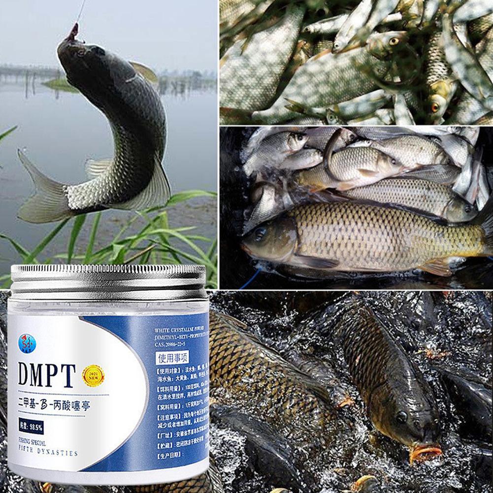 50g Real DMPT High Purity Fish - Fishing Equipment For Sale ulasan dan harga