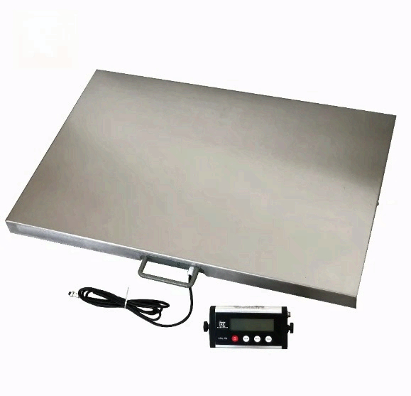 on Sale Fishing Scale Pet Scal - Fishing Equipment For Sale ulasan dan harga