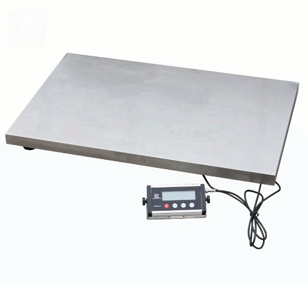 on Sale Fishing Scale Pet Scal - Fishing Equipment For Sale ulasan dan harga